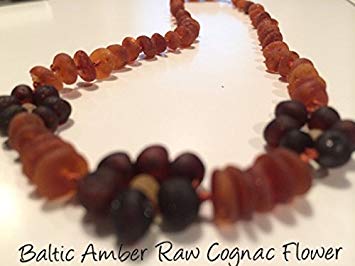 Raw Unpolished 12.5 Inch Baltic Amber Teething Necklace Babies Brown Cognac Carmel Baby, Infant,...